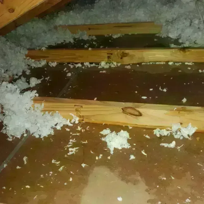 Attic Water Damage in Laurens, IA